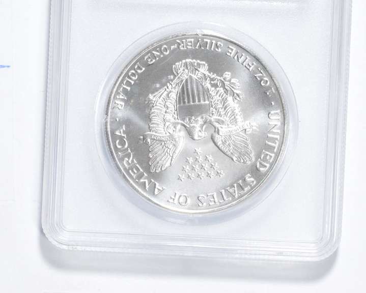 1993 American Silver Eagle - .999 Fine Silver
