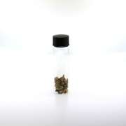 24k Gold Nuggets in Vial