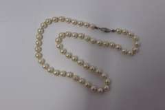 Favorite Fresh Water Pearl Necklace