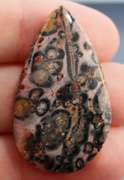 Stunning 30.44ct Brazilian Leopard Skin Jasper