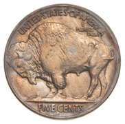 1925 Indian Head Buffalo Nickel