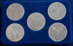 Morgan Silver Dollars Collection Circulated