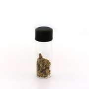 Pure Gold Nuggets in Vial
