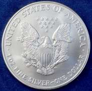 2002 BU Silver Eagle