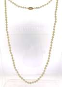 White Fresh Water Pearl Necklace w Gold Clasp
