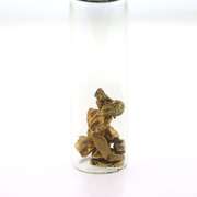 Pure Gold Nuggets in Vial