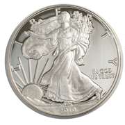 2010 Proof Silver Eagle