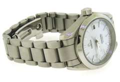 Omega Seamaster Aquaterra Watch