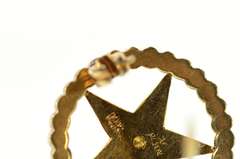 14K Yellow Gold Order of the Eastern Star Enamel Seed Pearl Pin/Brooch