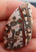Stunning 31.33ct Brazilian Leopard Skin Jasper