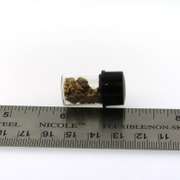 Minature Vial Filled with Pure Gold