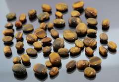 Huge collection of Tigerseye cabochons weighing 325 carats!