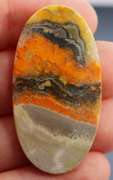Vivid! Collectors 37.87ct Indonesian Bumble Bee Jasper
