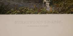 Photogravure of Stratford on avon by James Duthie James Duthie