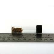 Vial of 100% Pure Gold Nuggets