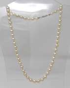 Favorite Fresh Water Pearl Necklace