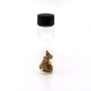 Pure Gold Nuggets in Vial
