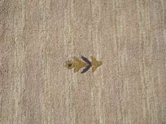 Simply Beautiful Hand-Tufted 3.9x5.5