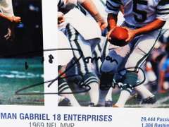 Roman Gabriel Autographed Color Print & Stat Sheet