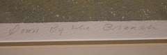 Limited Edition Lithograph Pencil Signed by Artist