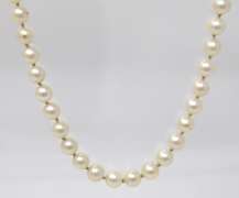Favorite Fresh Water Pearl Necklace
