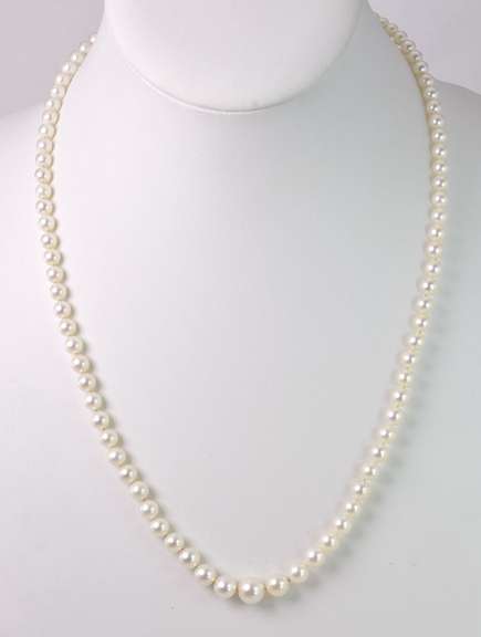 Delicate Pearl Necklace with 14K Yellow Gold Clasp