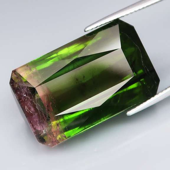 HUGE! 42.26ct collectors Watermelon Tourmaline