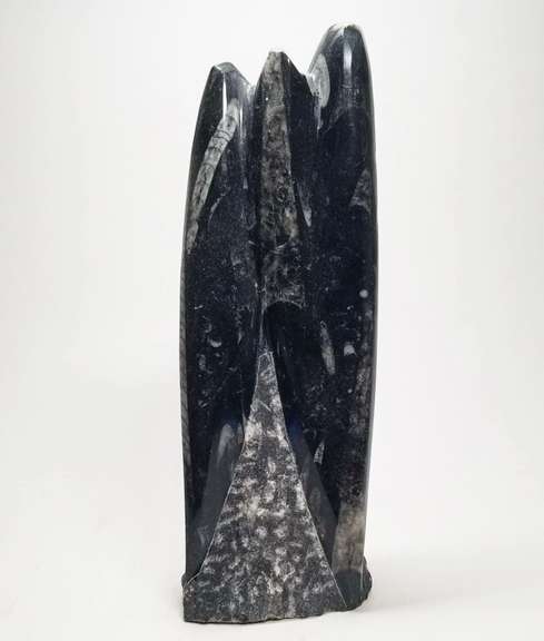Substantial 2,540ct Orthoceras fossil cluster