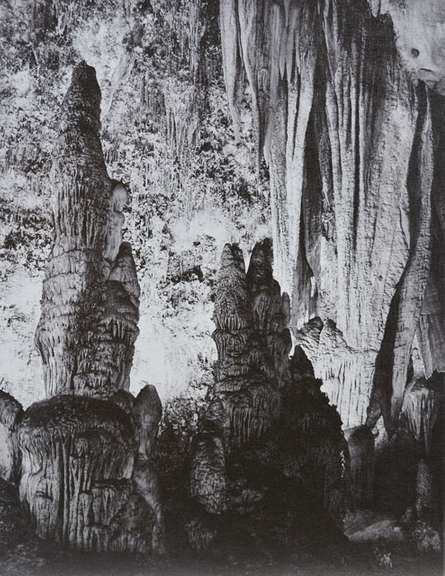 Adams Carlsbad Caverns National Park New Mexico 4