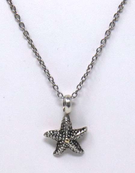 Sterling Silver Starfish Pendant on Chain