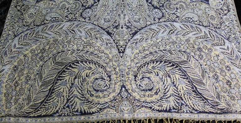 A Very Unique Design Lady's Scarf