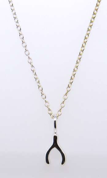 Sterling Silver Pendant on Chain Necklace
