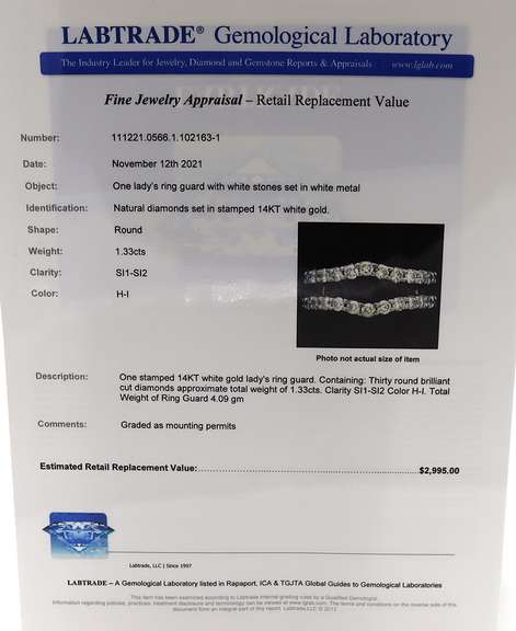 Dazzling White Gold Diamond Ring Guard