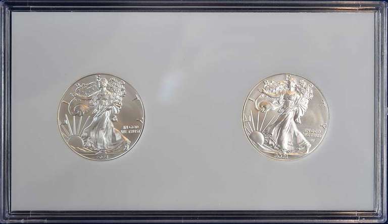 2021 American Silver Eagles Type 1 & Type 2 In Plastic Holder.
