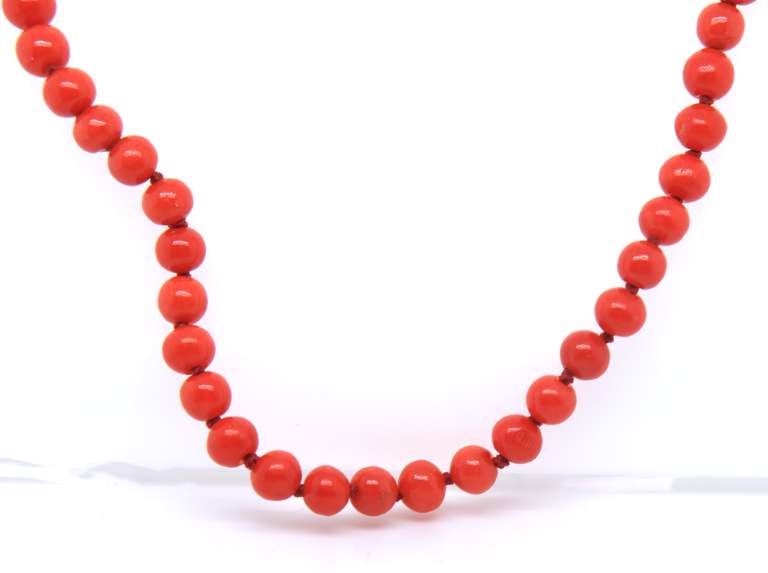 Single Strand of Coral Beads Necklace