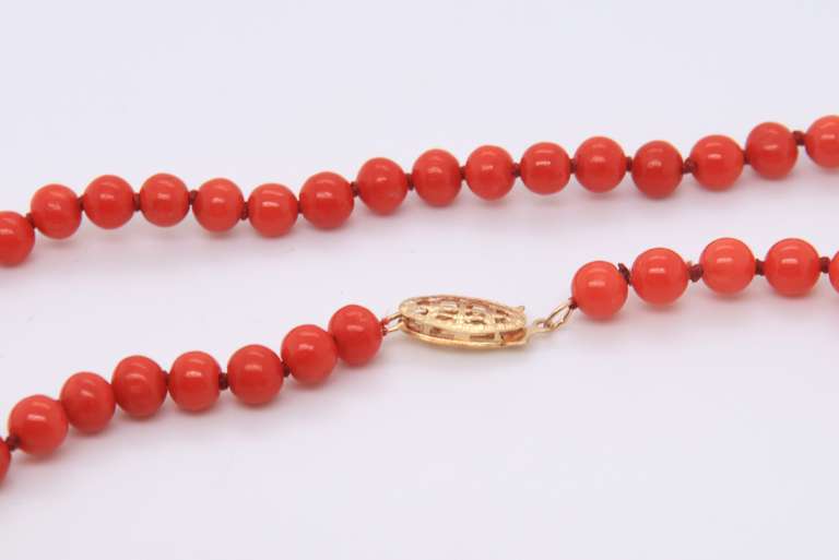 Single Strand of Coral Beads Necklace