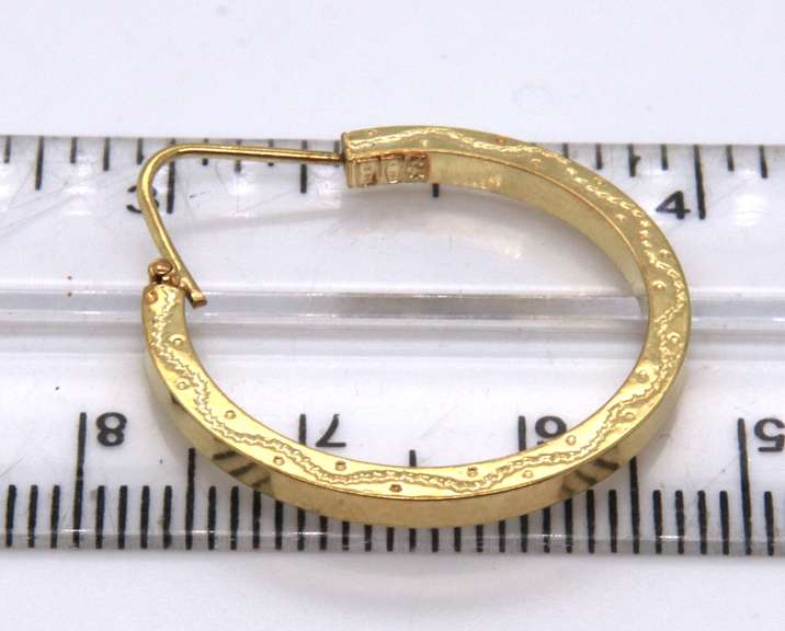 Beautiful Highpolish w Pattern Hoop Earrings