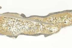 Sterling Silver Prowling Jaguar Panther Lioness Animal Stick Pin