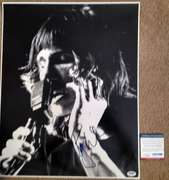 Pink Floyd Roger Waters Signed Live Vintage 16x20 Concert Photo PSA/DNA UA