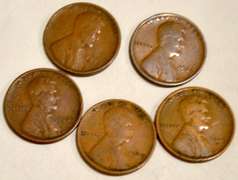 5 1909 VDB Type Lincoln Cents