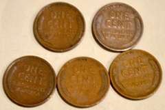 5 1909 VDB Type Lincoln Cents