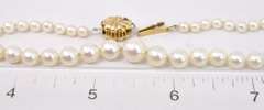 Delicate Pearl Necklace with 14K Yellow Gold Clasp