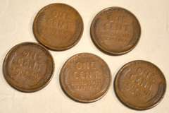 5 1909 VDB Type Lincoln Cents