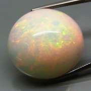 Crazy big! 40.49ct full body flashing Welo Opal