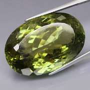 Huge! 64.74ct unheated collectors green Apatite
