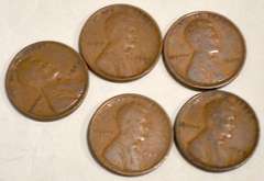 5 1909 VDB Type Lincoln Cents