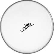 Joe Walsh Autographed Facsimile Signed Drum Head