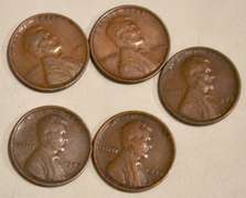 5 1909 VDB Type Lincoln Cents