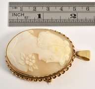 Nicely Carved Shell Cameo Brooch/Peendant