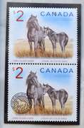 2006 Canada Sable Island Horse Limited Edition Proof $ 5 Silver Coin and Stamp Set